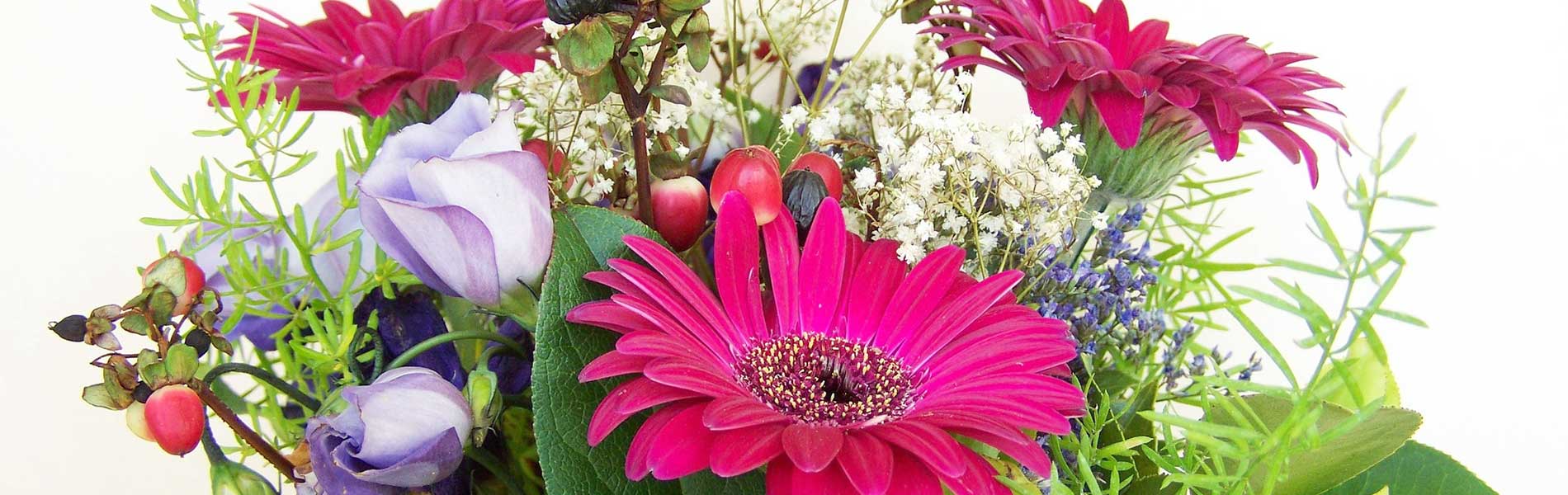 真夏を彩るサマーフェスタ開催のおしらせ